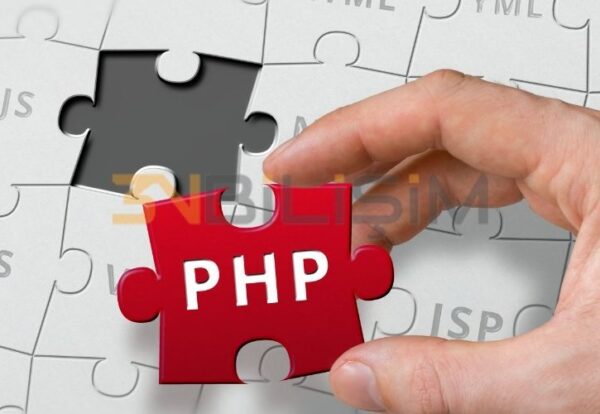 web-yaziliminda-kullanilan-populer-diller Popüler Yazılım Dilleri